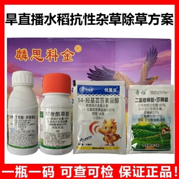 旱直播水稻田抗性杂草解决方案
