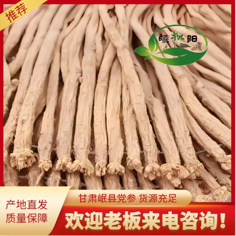 【实力商家】精品甘肃白条党参岷县党参产地直发欢迎联系