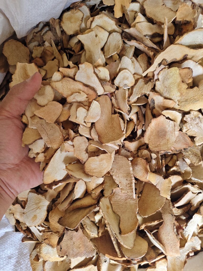 中药材土茯苓无硫粉质土茯苓进口土茯苓散装批发