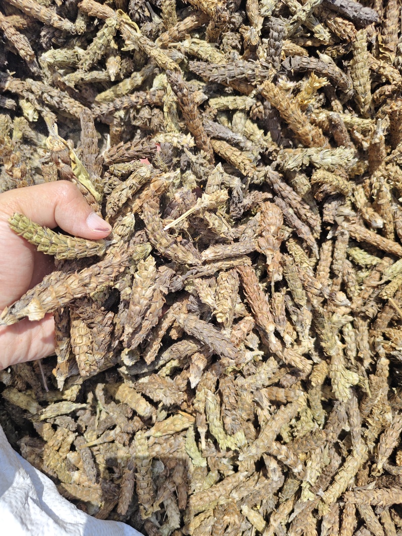 夏枯球中药材夏枯草白毛夏枯球精选新货无硫晒干