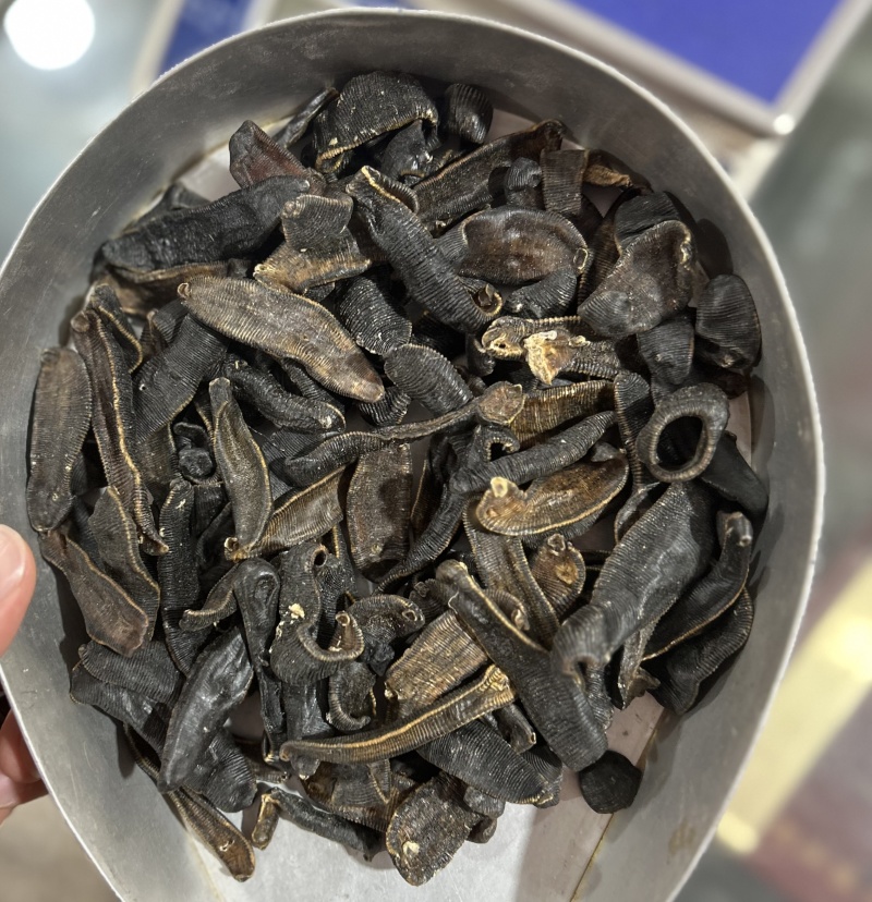 中药材水蛭清水吊干水蛭金边水蛭精选吊干水蛭散装批