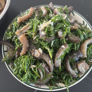 鲜食海参微残参好口感酒店食材社区团购海参