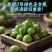 青甜二号小番茄绿色小番茄甜度高寿光产地直发量大