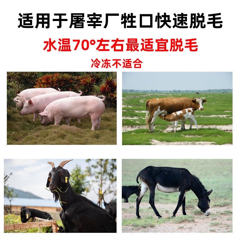 屠宰专用脱毛神器刮猪毛牛羊毛磨光机电动角磨机不锈钢