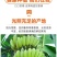 包邮【甜糯香蕉】云南香蕉当季新鲜水果薄皮一整箱
