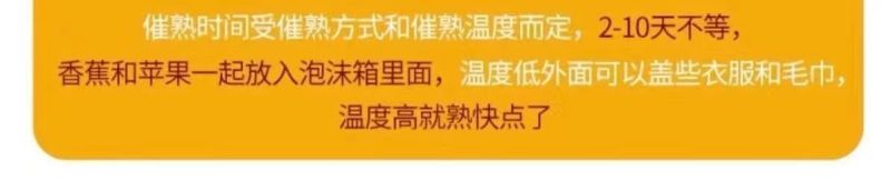 包邮【甜糯香蕉】云南香蕉当季新鲜水果薄皮一整箱