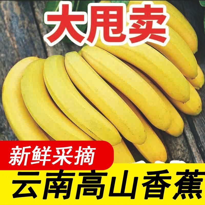 包邮【甜糯香蕉】云南香蕉当季新鲜水果薄皮一整箱