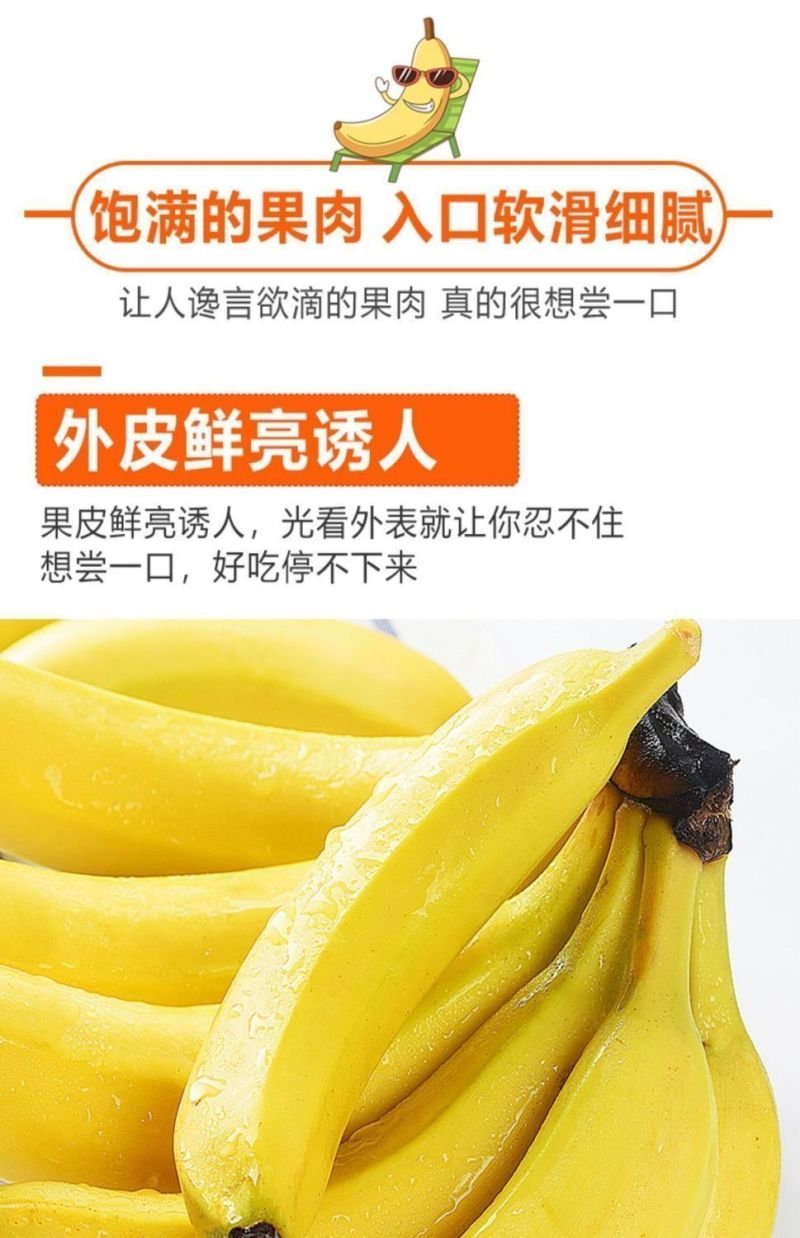 包邮【甜糯香蕉】云南香蕉当季新鲜水果薄皮一整箱
