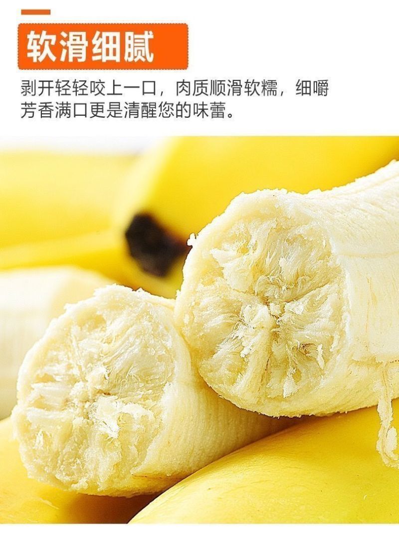 包邮【甜糯香蕉】云南香蕉当季新鲜水果薄皮一整箱