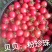 粉贝贝圣女果小番茄产地直发对接市场电商商超小柿子