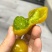 糖珀虎小番茄圣女果产地直发脆皮多汁新品种圣女果