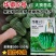 华鼎5号大顶苦瓜种子微苦绿色苹果苦瓜种籽高产广东大顶苦瓜