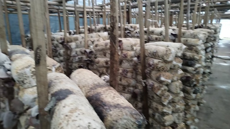 福建一手货源，代办