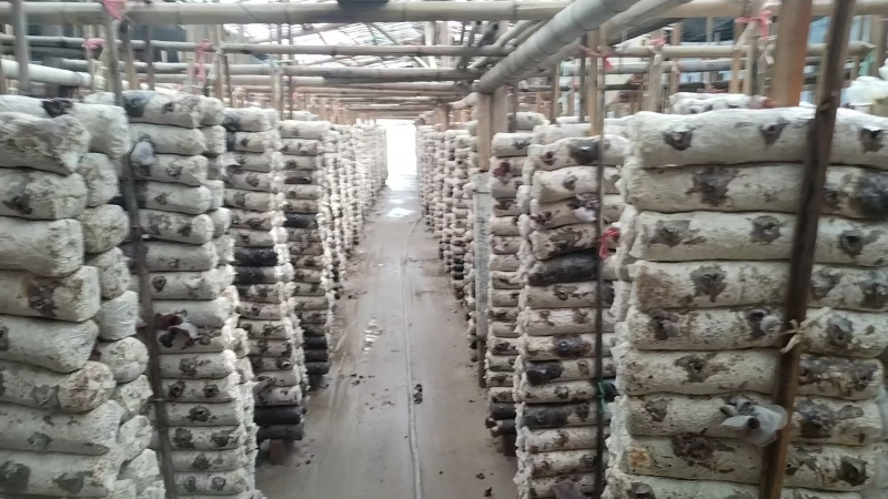 福建一手货源，代办