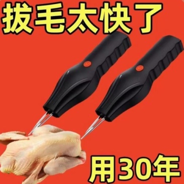 新款全自动家禽拔毛器电动去鸡鸭鹅毛神器多功能防水家