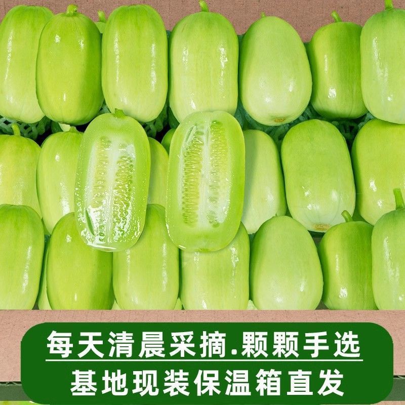 【现摘头茬】玉女水果黄瓜拇指黄瓜新鲜过年水果脆嫩多汁