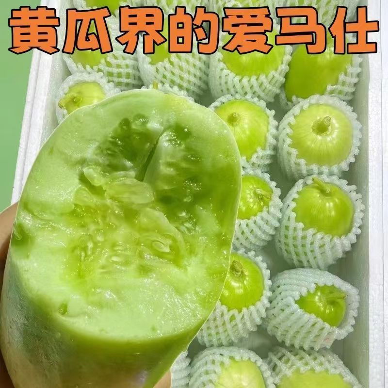 【现摘头茬】玉女水果黄瓜拇指黄瓜新鲜过年水果脆嫩多汁