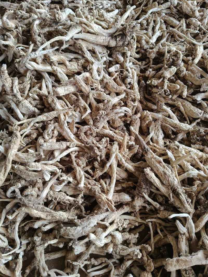 云南野生中药材沙参精重要根茎可视频看货