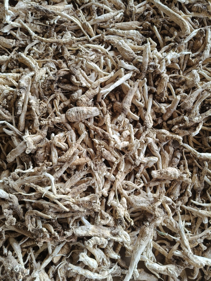 云南野生中药材沙参精重要根茎可视频看货