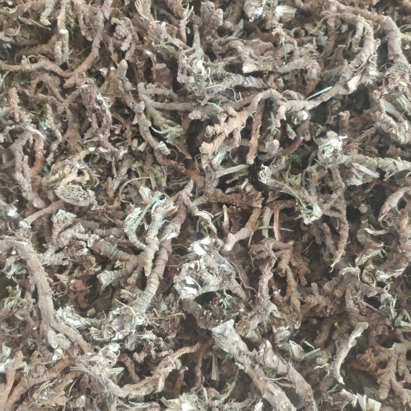 石菖蒲，野生石菖蒲干统货，质优价廉，欢迎下单