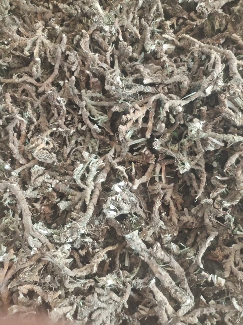 石菖蒲，野生石菖蒲干统货，质优价廉，欢迎下单