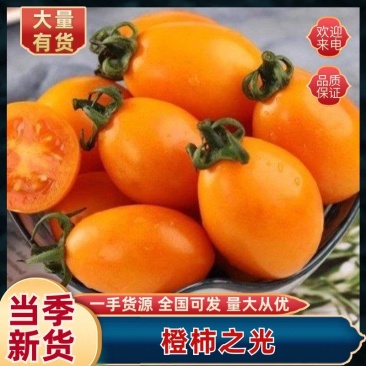 香芒皇后橙色小番茄精品圣女果全国发货量大从优