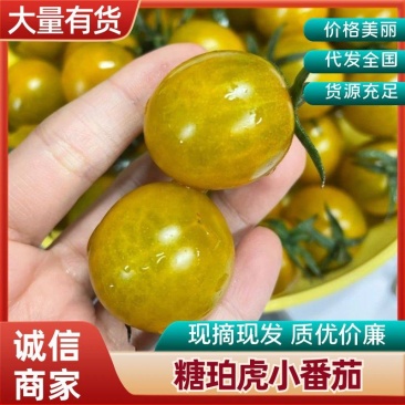 糖珀虎小番茄圣女果产地直发脆皮多汁新品种圣女果