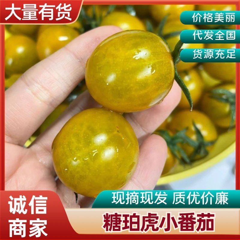 糖珀虎小番茄圣女果产地直发脆皮多汁新品种圣女果