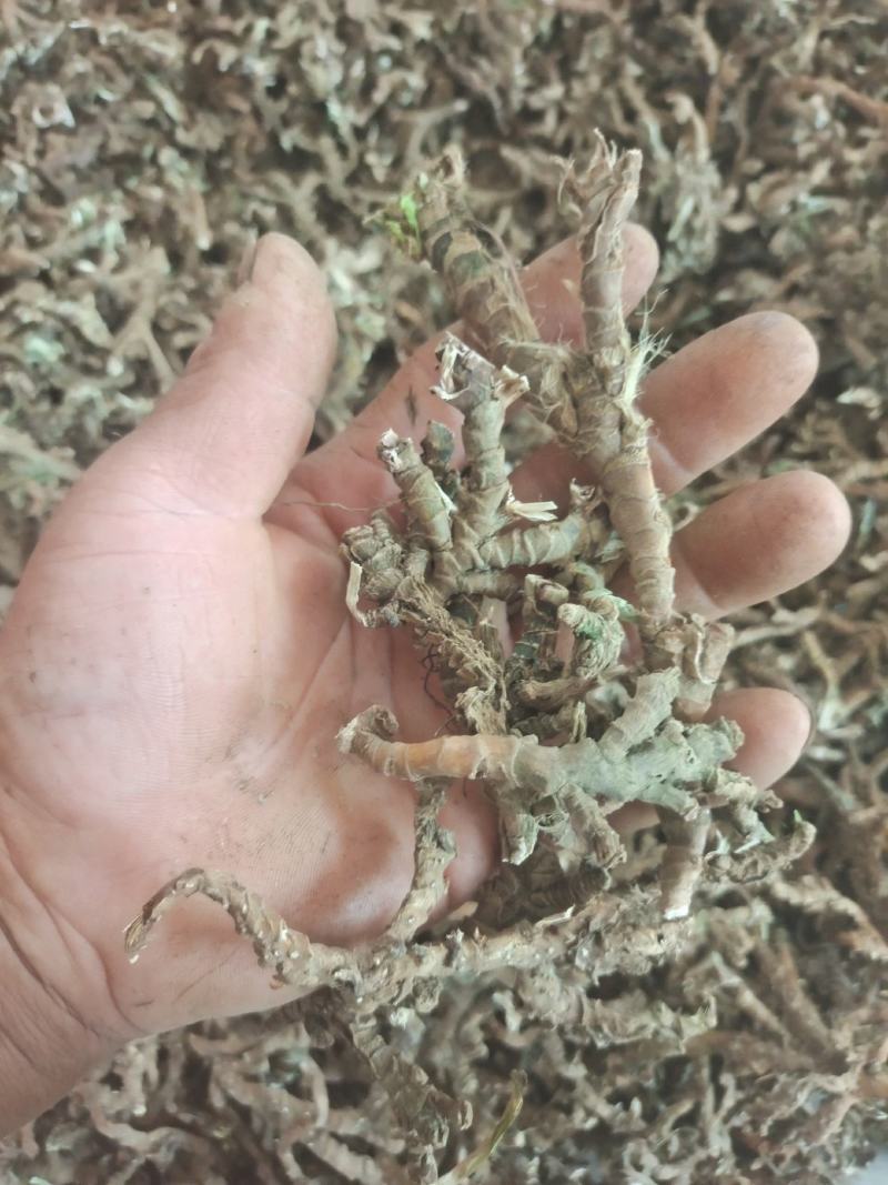 石菖蒲，野生石菖蒲干统货，质优价廉，欢迎下单