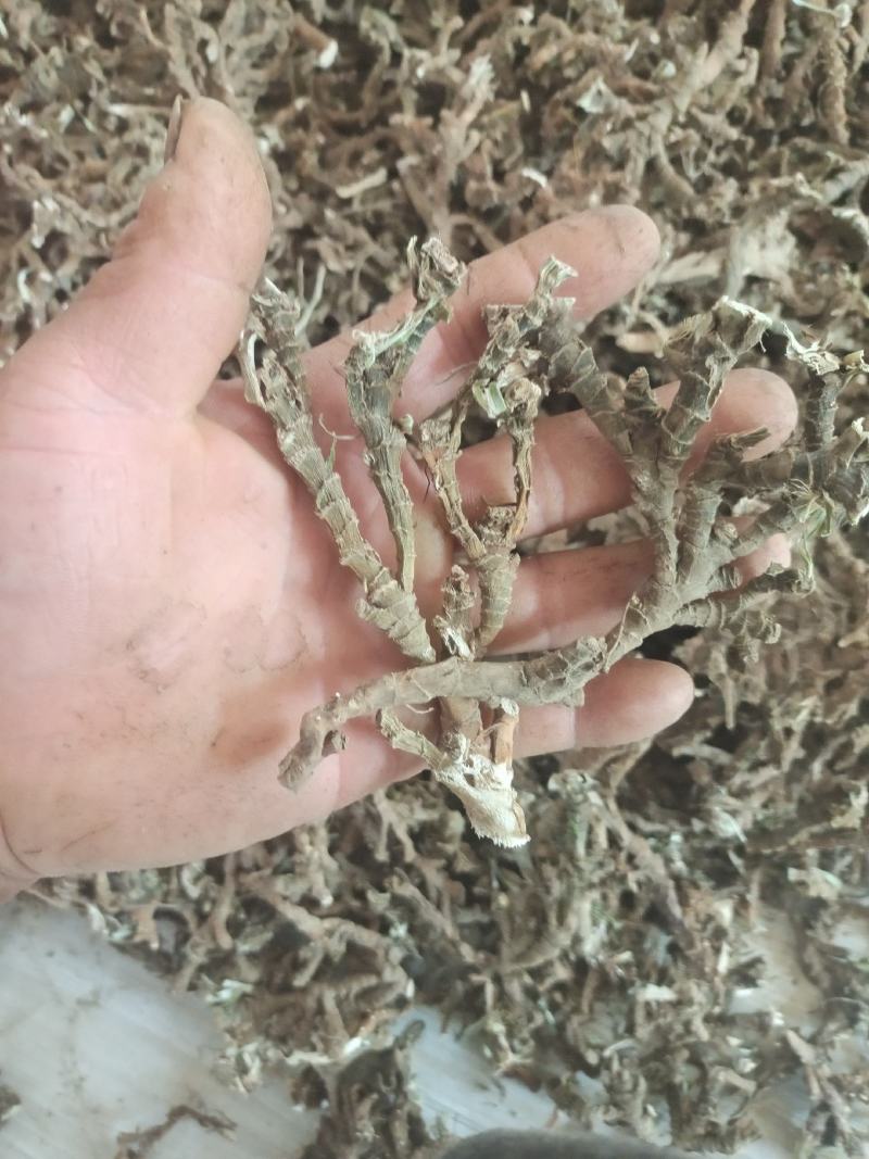 石菖蒲，野生石菖蒲干统货，质优价廉，欢迎下单