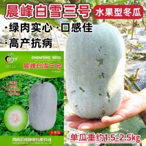 晨峰白雪三号冬瓜种子新一代水果小冬瓜种籽早熟耐热耐寒粉皮