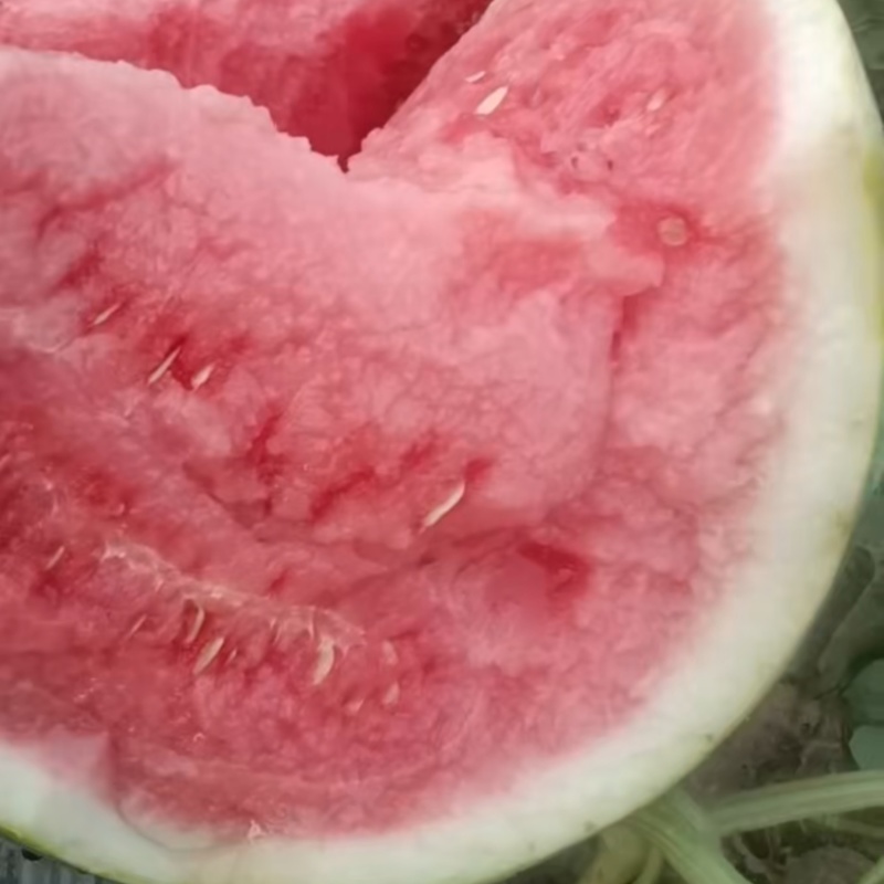 精品美都