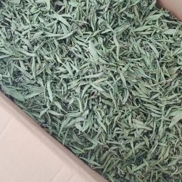 预售十一月份（精品甜叶菊叶子）