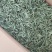 预售十一月份（精品甜叶菊叶子）