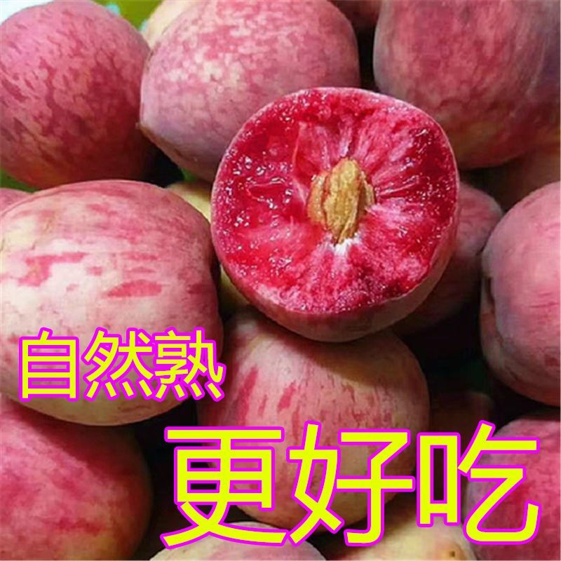 正宗血桃当季水果孕妇红心脆甜桃子毛桃非水蜜桃新鲜现摘1/3/