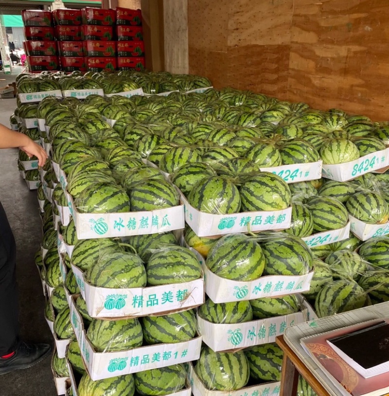 【实力推荐】精品美都西瓜产地直供一手货源新鲜采摘