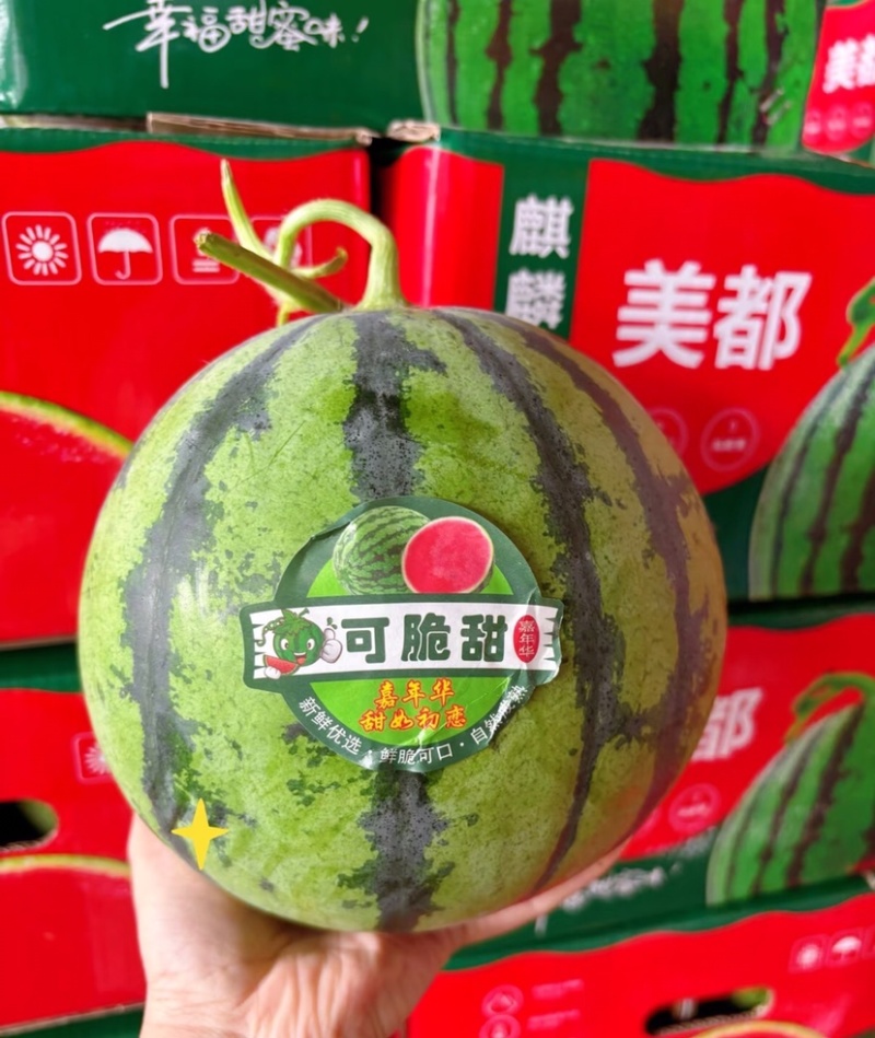 【实力推荐】精品美都西瓜产地直供一手货源新鲜采摘