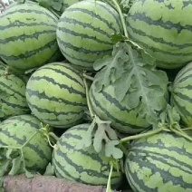 [推荐]东台8424大量供应了，产地直供，全国代发。