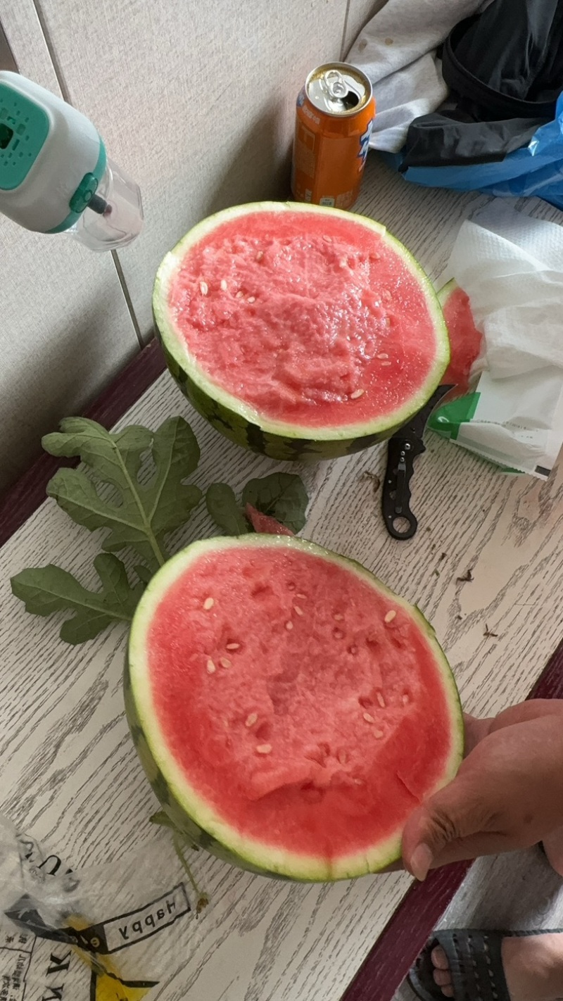 （热卖推荐）美都西瓜薄皮无籽西瓜小薄皮大红瓤