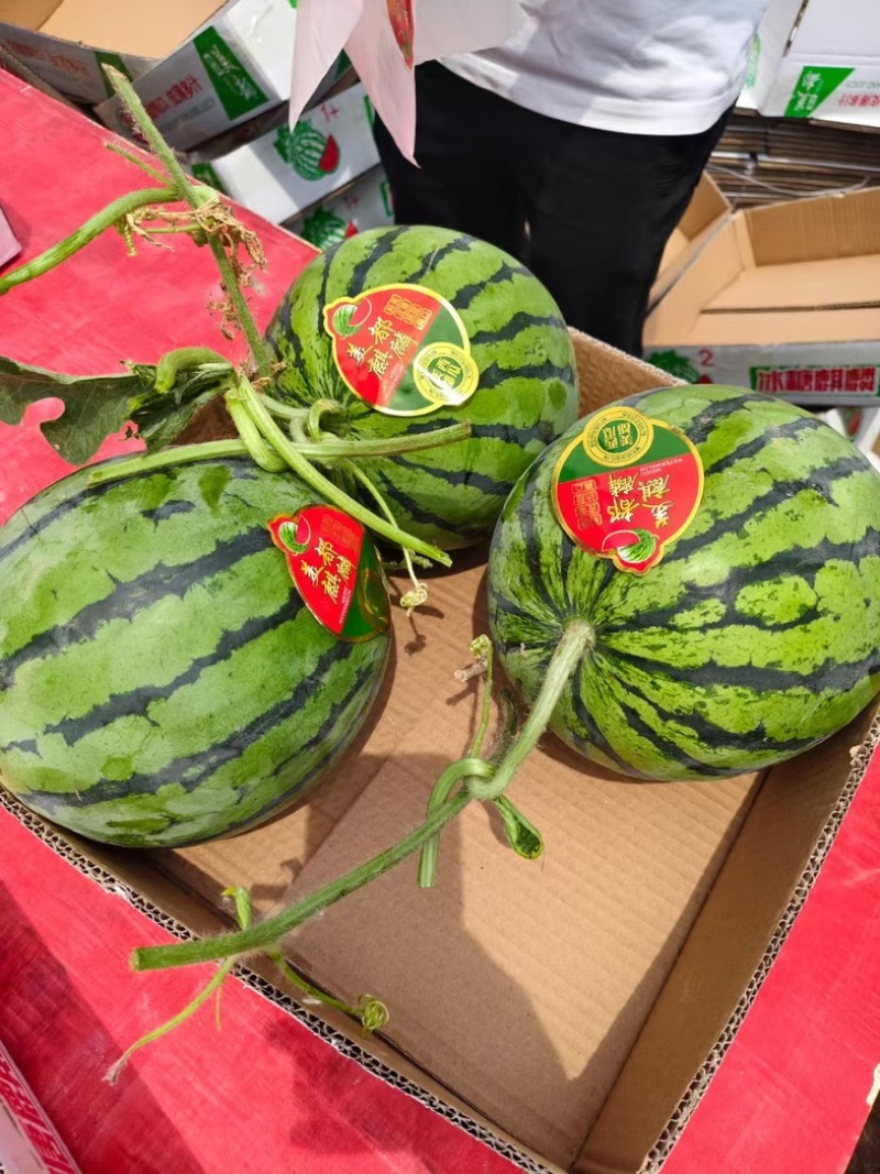 （热卖推荐）美都西瓜薄皮无籽西瓜小薄皮大红瓤