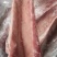 猪龙骨多肉脊骨厂家直销大量现货量大从优