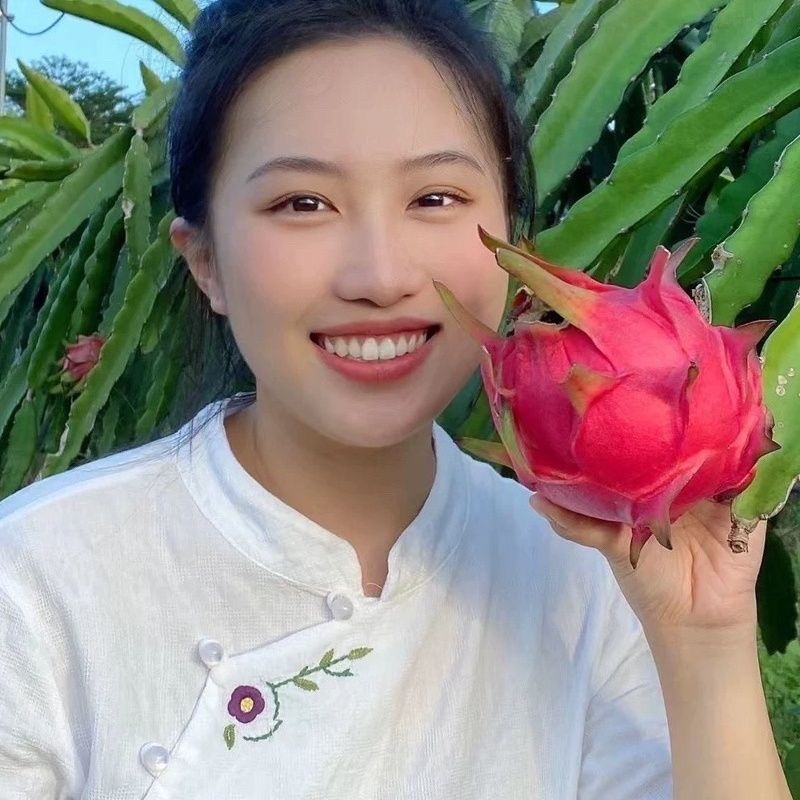 金都一号红心火龙果一件代发对接电商各大平台