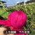 金都一号红心火龙果一件代发对接电商各大平台