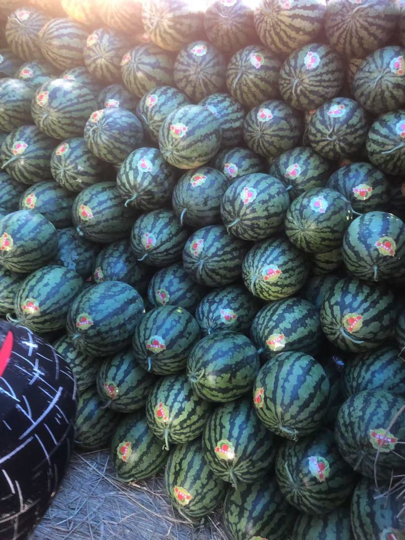 精品甜王西瓜大量上市保熟保甜质量保证一手货源，全国发货
