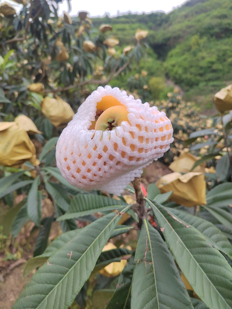 需要随时随时看货