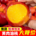 518油桃/黄肉油桃/中油油桃/产地货源/全国供应批发