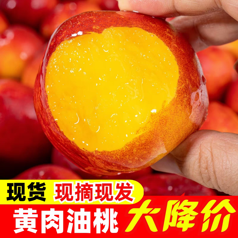 518油桃/黄肉油桃/中油油桃/产地货源/全国供应批发