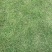 中华结缕草兰引三号现挖现发一手货源欢迎咨询