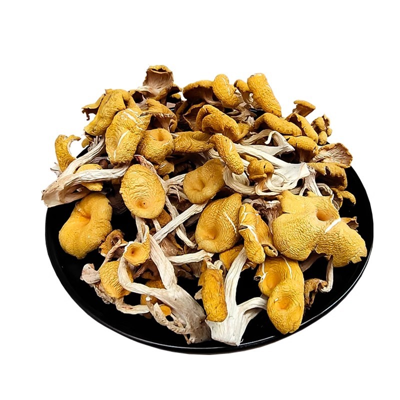 福建鸡油菌干货批发榆黄菇干货批发，一键代发！干鸡油菌