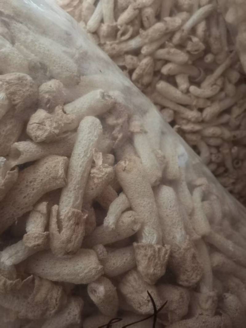 福建竹荪干货批发，竹荪裙，竹荪蛋，竹荪管，一键代发